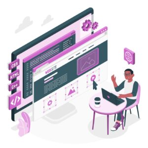 Web Design Services in Hisar